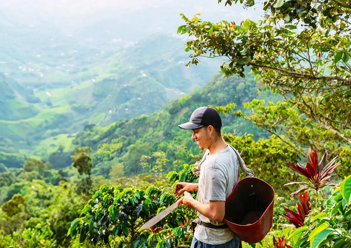 ESCUELA DE EMPRENDIMIENTO JOVEN RURAL